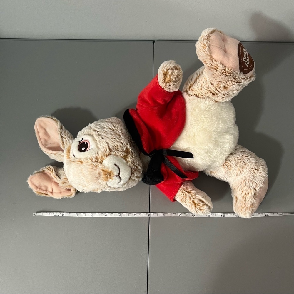 3/25$(Mix) Peter Rabbit With Red Jacket 16” - Picture 11 of 11